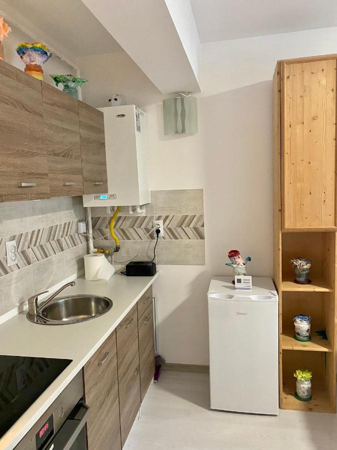 Apartament Irina Брашов Екстериор снимка